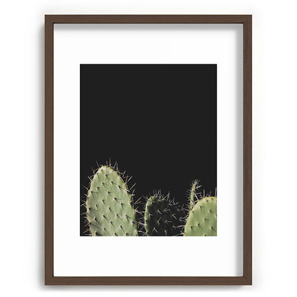 Cactus Framed Art Print Gallery Image 67