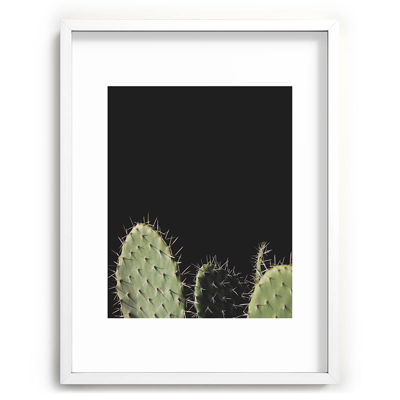 Cactus Framed Art Print Gallery Image 78