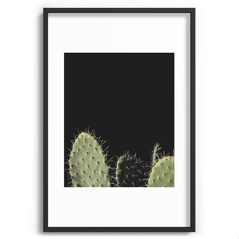 Cactus Framed Art Print Gallery Image 62