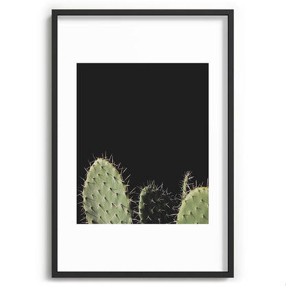 Cactus Framed Art Print Gallery Image 62
