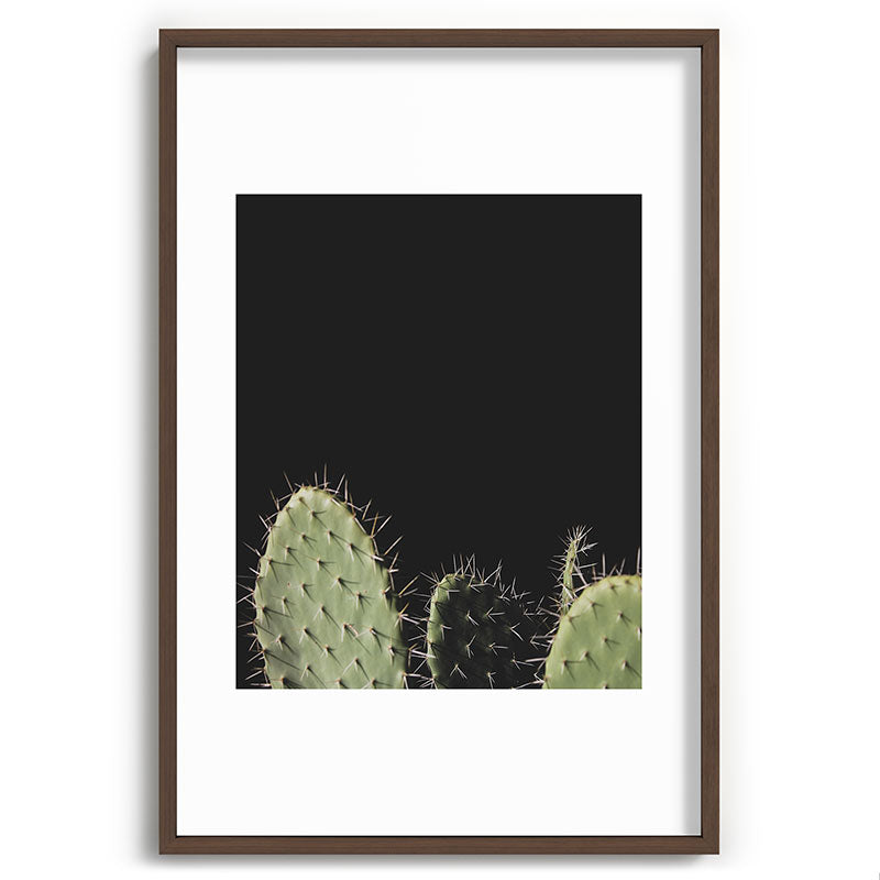 Cactus Framed Art Print Gallery Image 68