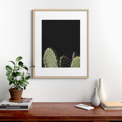 Cactus Framed Art Print Gallery Image 21
