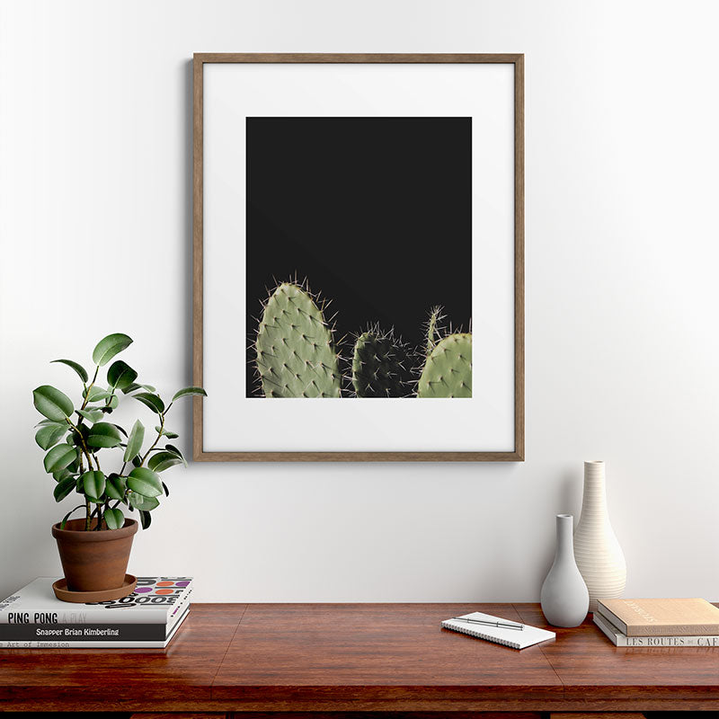 Cactus Framed Art Print Gallery Image 14