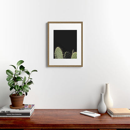 Cactus Framed Art Print Gallery Image 12