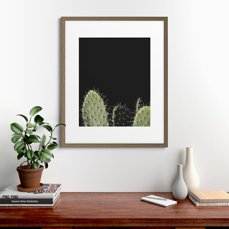 Cactus Framed Art Print Gallery Image 42