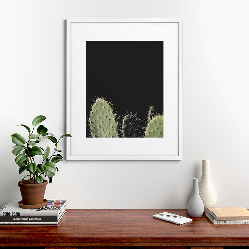 Cactus Framed Art Print Gallery Image 56