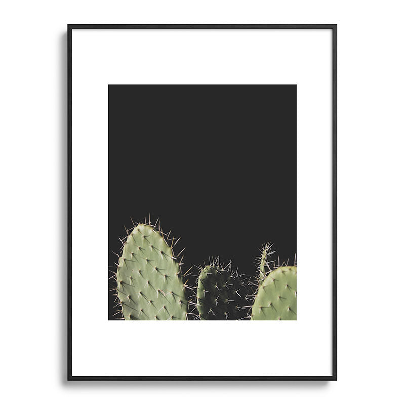 Cactus Framed Art Print Gallery Image 84
