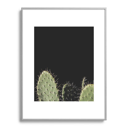Cactus Framed Art Print Gallery Image 99