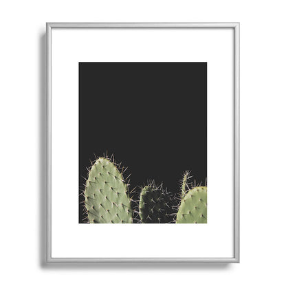 Cactus Framed Art Print Gallery Image 96
