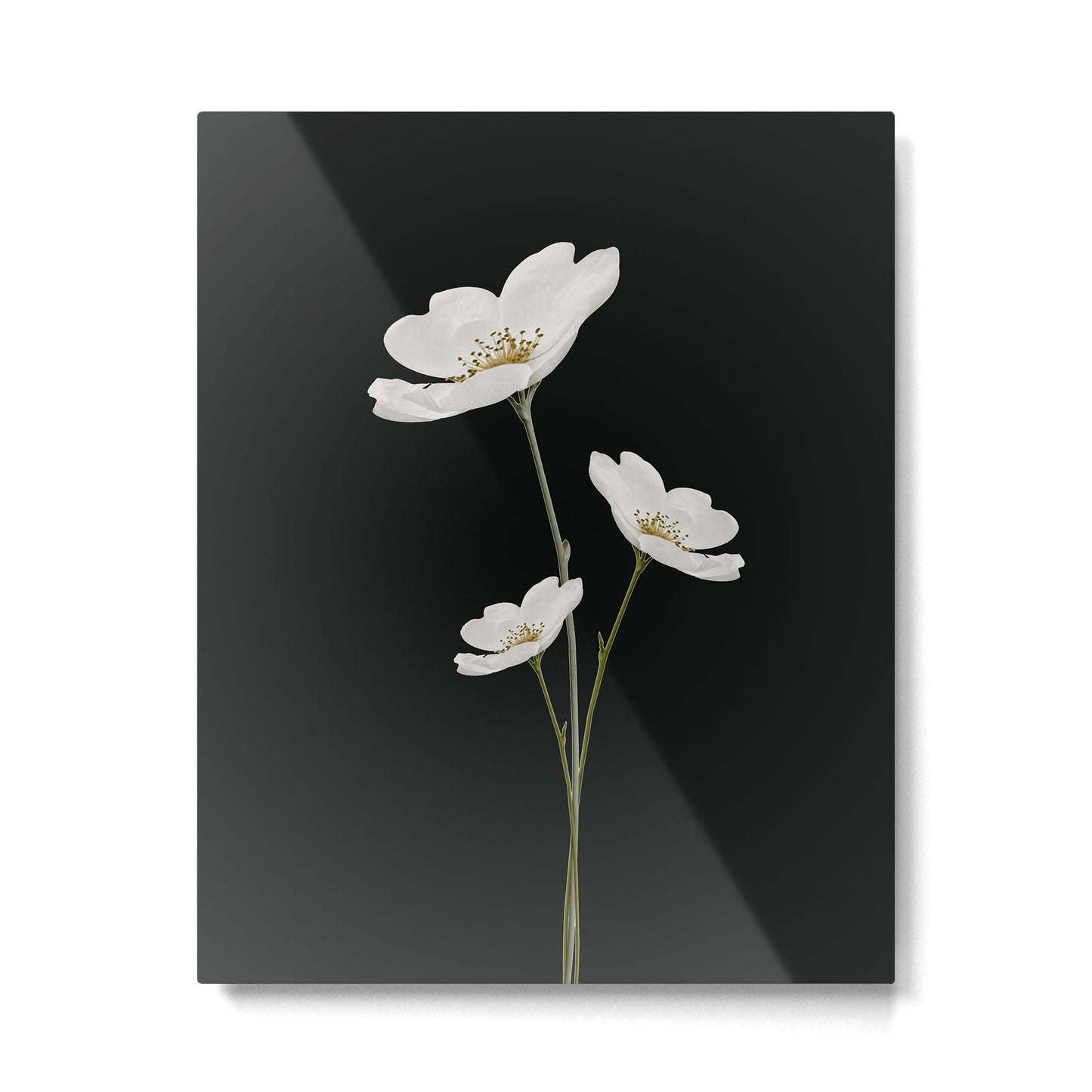 Flowers 5 Metal Print Gallery Image 4
