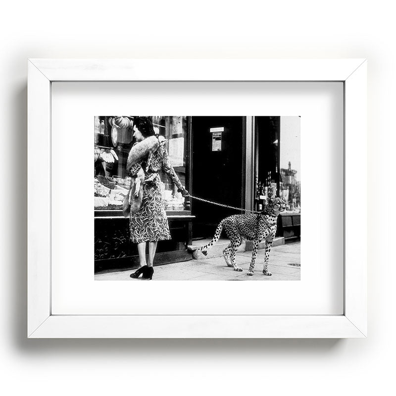 Woman Walking Pet Cheetah in London, 1939 Framed Art Print Gallery Image 76