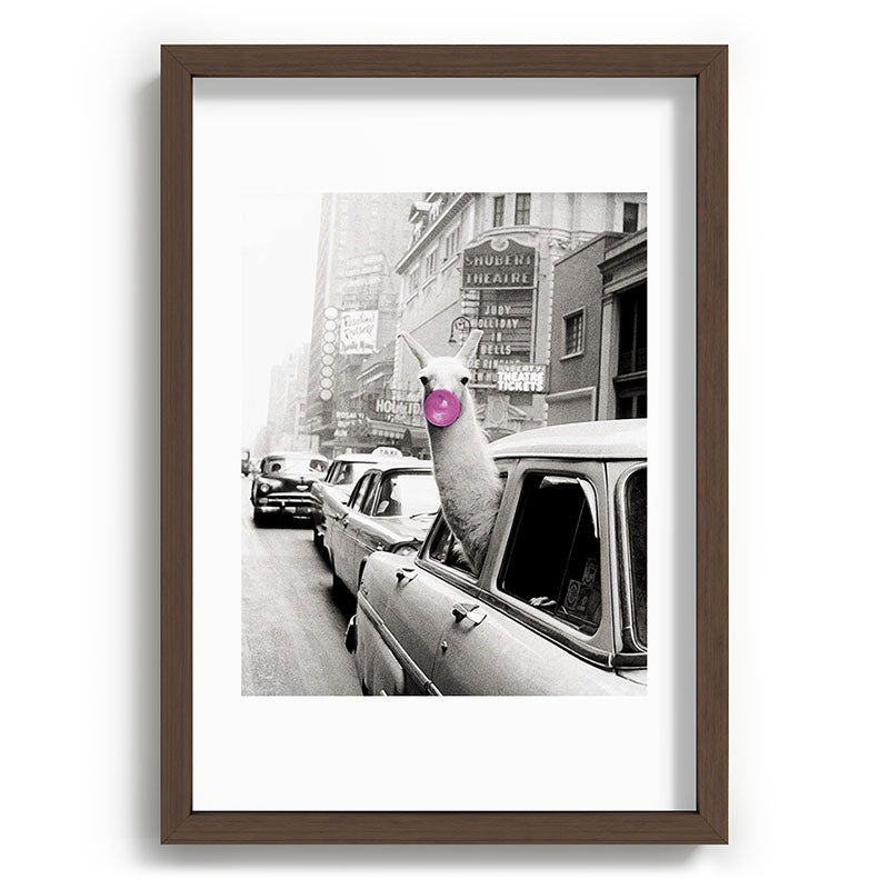 Perfect Pink Bubble Gum Llama taking a New York Taxi black and white photograph Framed Art Print Gallery Image 89