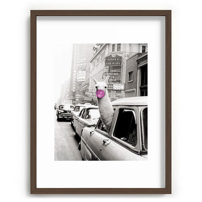 Perfect Pink Bubble Gum Llama taking a New York Taxi black and white photograph Framed Art Print Gallery Image 92