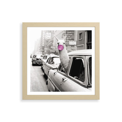 Perfect Pink Bubble Gum Llama taking a New York Taxi black and white photograph Framed Art Print Gallery Image 71