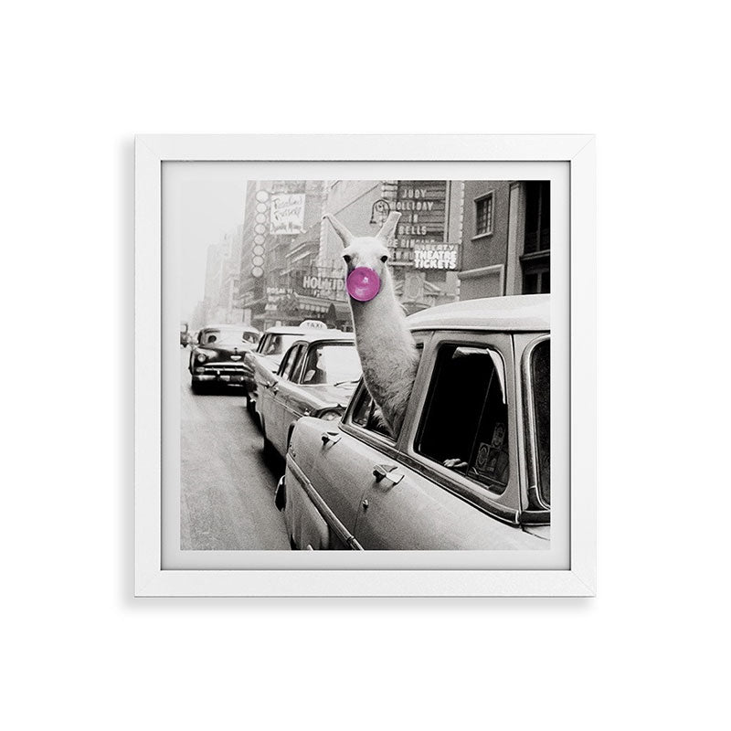 Perfect Pink Bubble Gum Llama taking a New York Taxi black and white photograph Framed Art Print Gallery Image 82