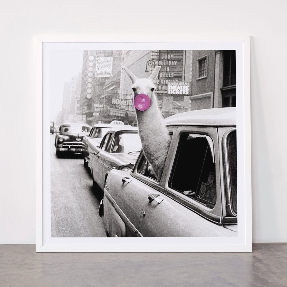 Perfect Pink Bubble Gum Llama taking a New York Taxi black and white photograph Framed Art Print Gallery Image 87