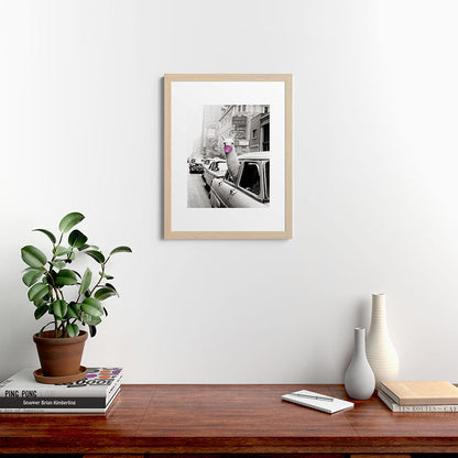 Perfect Pink Bubble Gum Llama taking a New York Taxi black and white photograph Framed Art Print Gallery Image 64