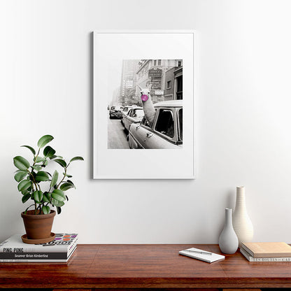Perfect Pink Bubble Gum Llama taking a New York Taxi black and white photograph Framed Art Print Gallery Image 37