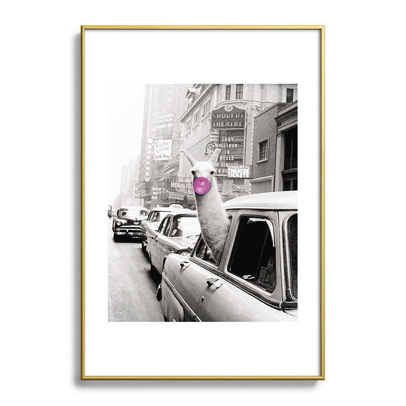 Perfect Pink Bubble Gum Llama taking a New York Taxi black and white photograph Framed Art Print Gallery Image 123
