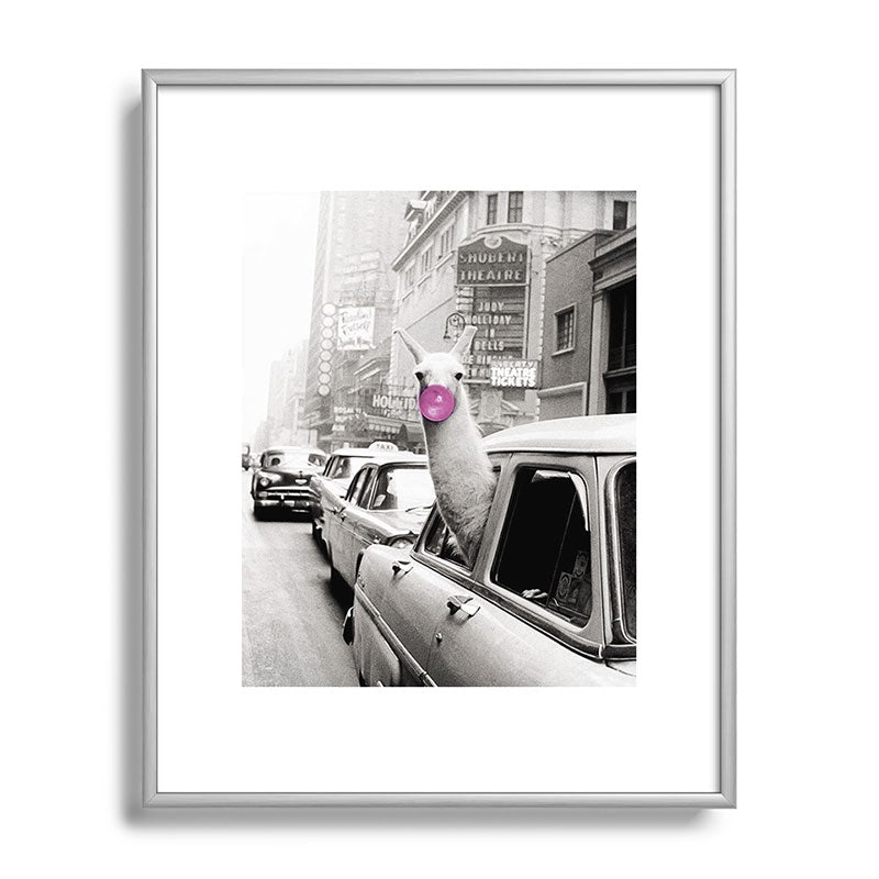 Perfect Pink Bubble Gum Llama taking a New York Taxi black and white photograph Framed Art Print Gallery Image 131