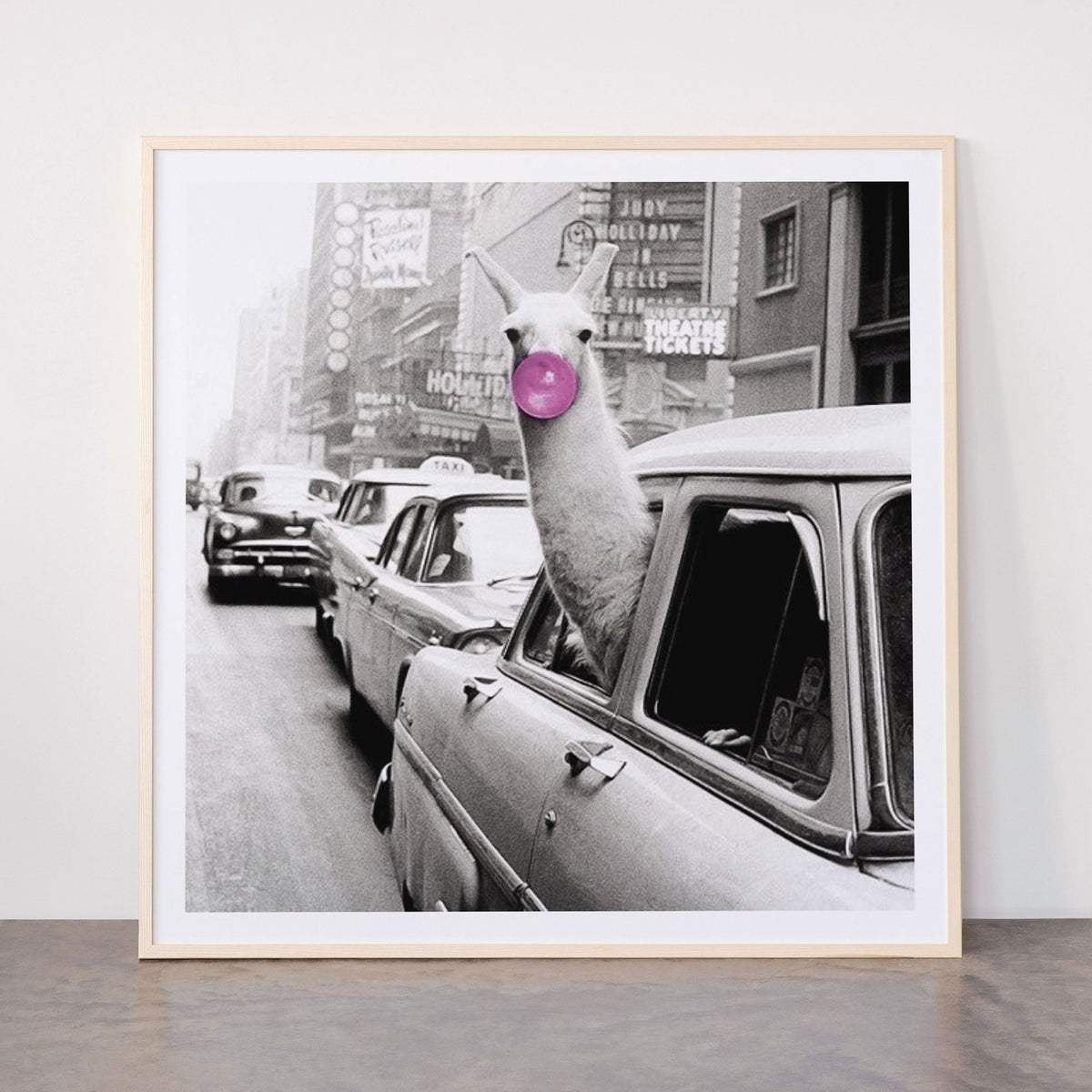 Perfect Pink Bubble Gum Llama taking a New York Taxi black and white photograph Framed Art Print Gallery Image 33