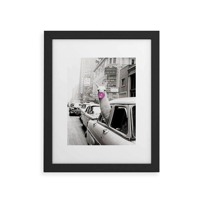 Perfect Pink Bubble Gum Llama taking a New York Taxi black and white photograph Framed Art Print Gallery Image 41
