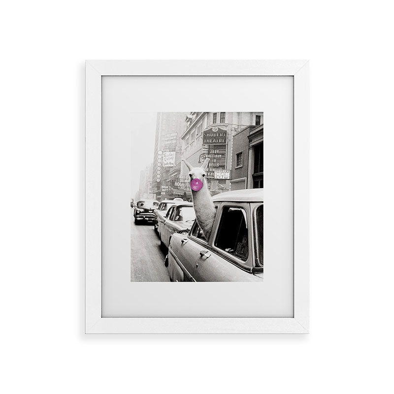 Perfect Pink Bubble Gum Llama taking a New York Taxi black and white photograph Framed Art Print Gallery Image 74