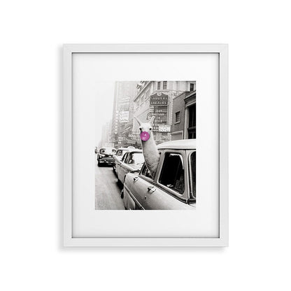 Perfect Pink Bubble Gum Llama taking a New York Taxi black and white photograph Framed Art Print Gallery Image 36