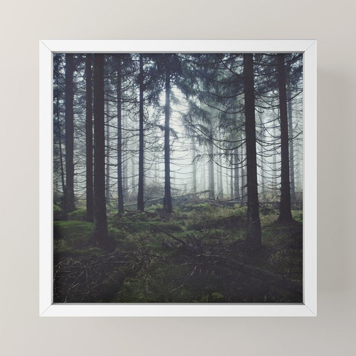 Through The Trees Mini Art Print Gallery Image 4