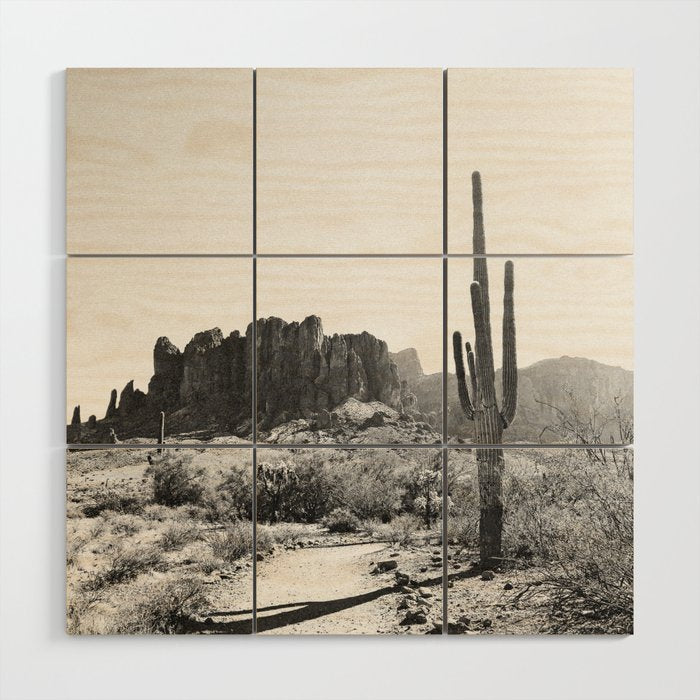 ARIZONA DESERT II Wood Wall Art Gallery Image 2