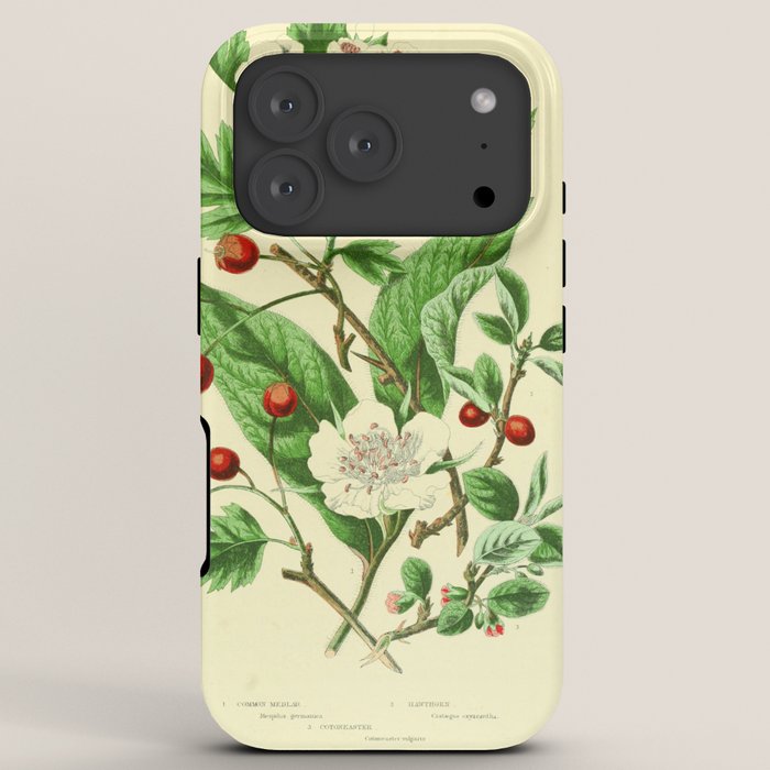 Hawthorn by Anne Pratt, 1800s (benefitting The Nature Conservancy) iPhone Case Gallery Image 7