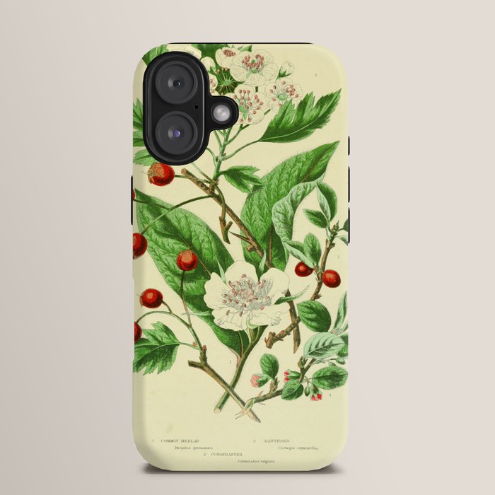 Hawthorn by Anne Pratt, 1800s (benefitting The Nature Conservancy) iPhone Case Gallery Image 13