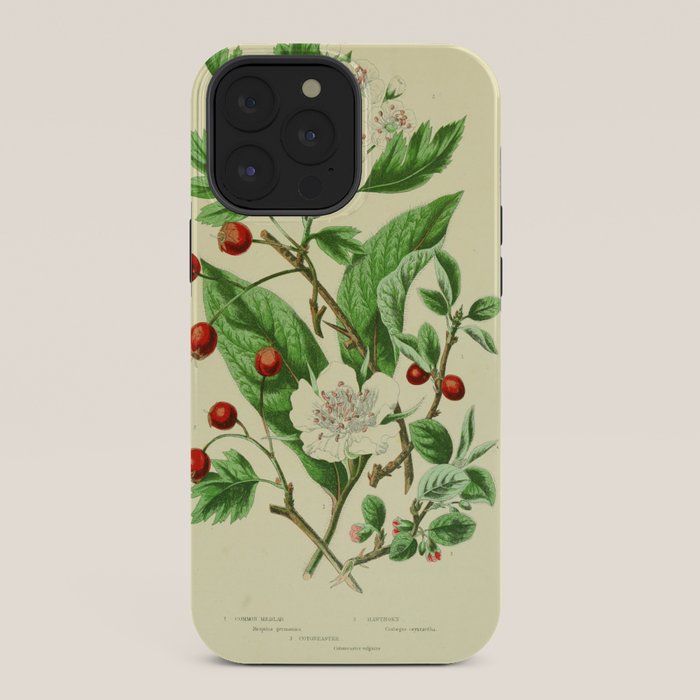 Hawthorn by Anne Pratt, 1800s (benefitting The Nature Conservancy) iPhone Case Gallery Image 36