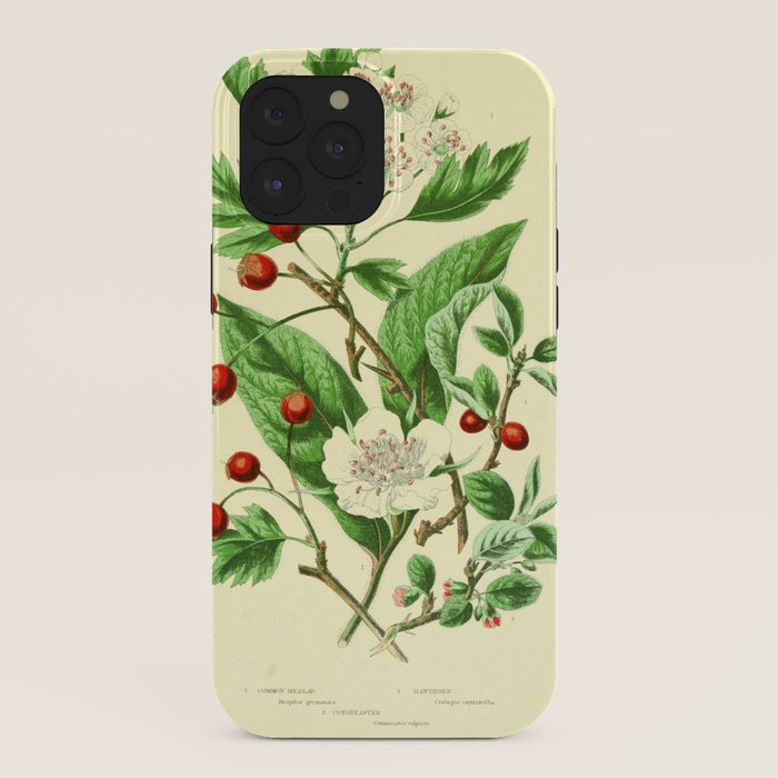 Hawthorn by Anne Pratt, 1800s (benefitting The Nature Conservancy) iPhone Case Gallery Image 40