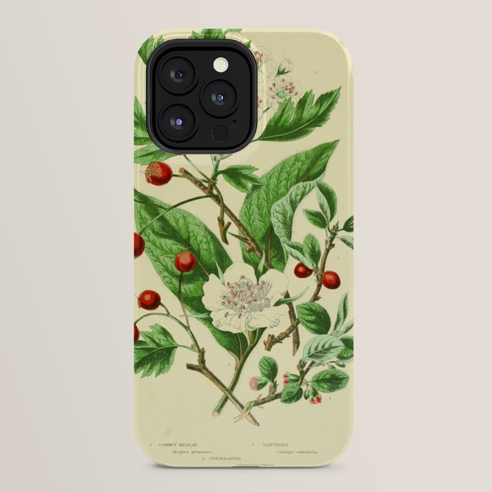 Hawthorn by Anne Pratt, 1800s (benefitting The Nature Conservancy) iPhone Case Gallery Image 32