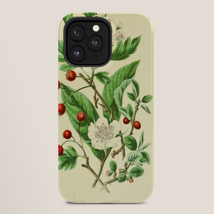 Hawthorn by Anne Pratt, 1800s (benefitting The Nature Conservancy) iPhone Case Gallery Image 28