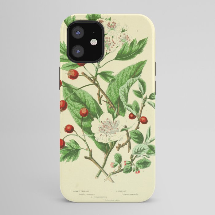 Hawthorn by Anne Pratt, 1800s (benefitting The Nature Conservancy) iPhone Case Gallery Image 42