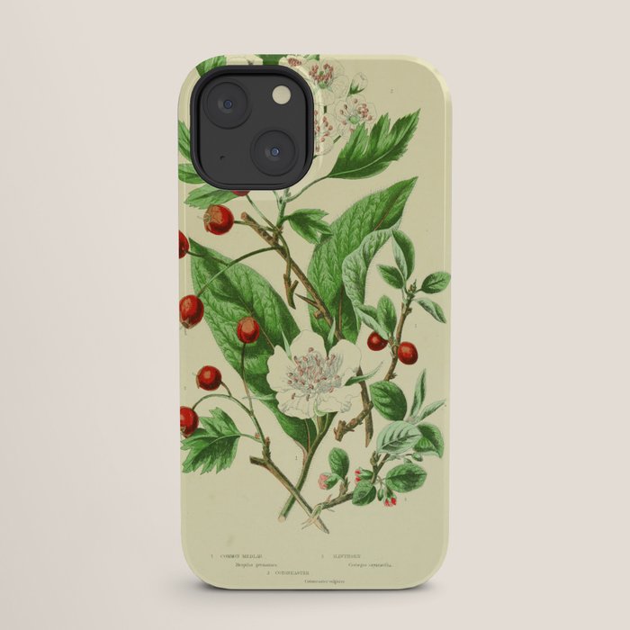 Hawthorn by Anne Pratt, 1800s (benefitting The Nature Conservancy) iPhone Case Gallery Image 25