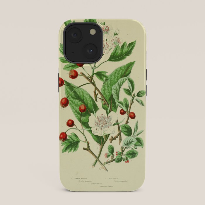 Hawthorn by Anne Pratt, 1800s (benefitting The Nature Conservancy) iPhone Case Gallery Image 33