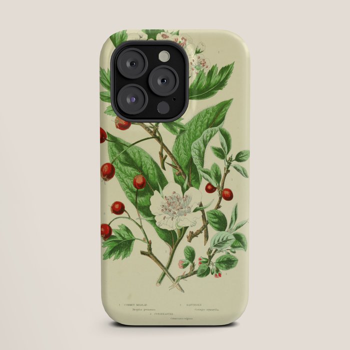 Hawthorn by Anne Pratt, 1800s (benefitting The Nature Conservancy) iPhone Case Gallery Image 19