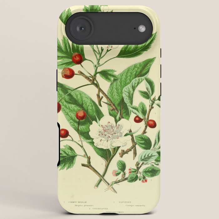 Hawthorn by Anne Pratt, 1800s (benefitting The Nature Conservancy) iPhone Case Gallery Image 6