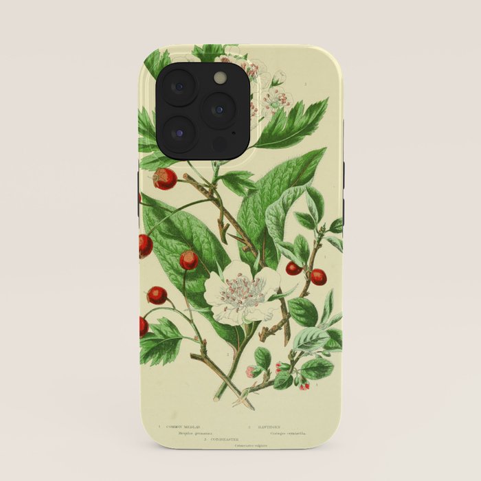 Hawthorn by Anne Pratt, 1800s (benefitting The Nature Conservancy) iPhone Case Gallery Image 39