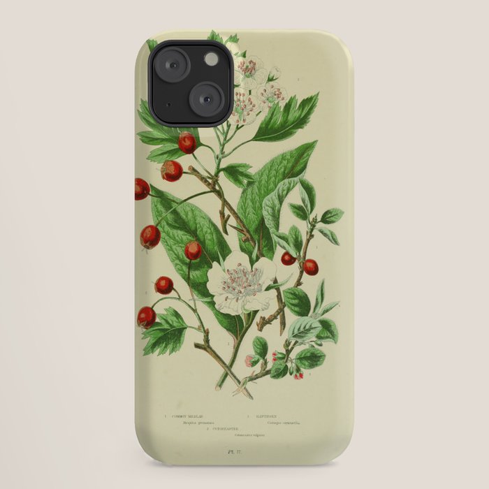 Hawthorn by Anne Pratt, 1800s (benefitting The Nature Conservancy) iPhone Case Gallery Image 18