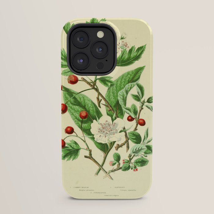 Hawthorn by Anne Pratt, 1800s (benefitting The Nature Conservancy) iPhone Case Gallery Image 23