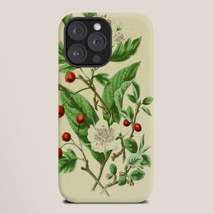 Hawthorn by Anne Pratt, 1800s (benefitting The Nature Conservancy) iPhone Case Gallery Image 20