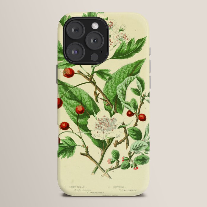 Hawthorn by Anne Pratt, 1800s (benefitting The Nature Conservancy) iPhone Case Gallery Image 16