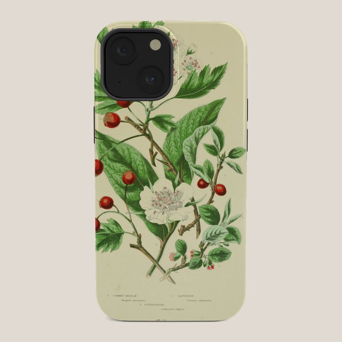 Hawthorn by Anne Pratt, 1800s (benefitting The Nature Conservancy) iPhone Case Gallery Image 34