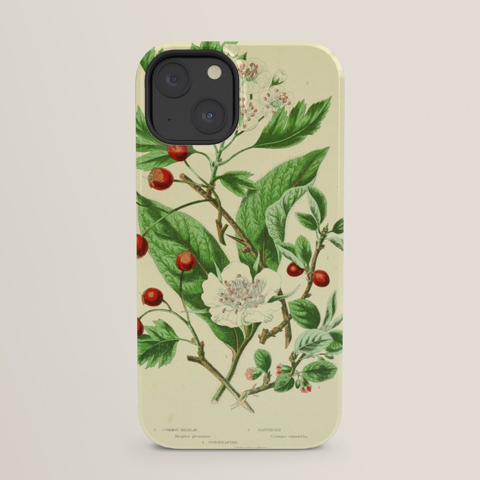 Hawthorn by Anne Pratt, 1800s (benefitting The Nature Conservancy) iPhone Case Gallery Image 29