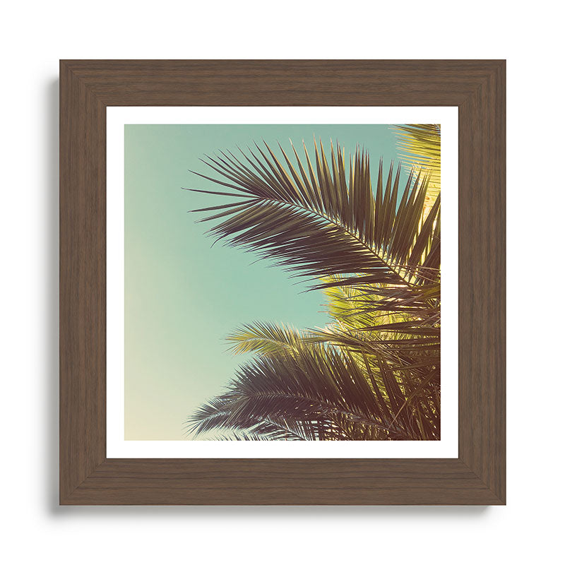 Autumn Palms Framed Art Print Gallery Image 57