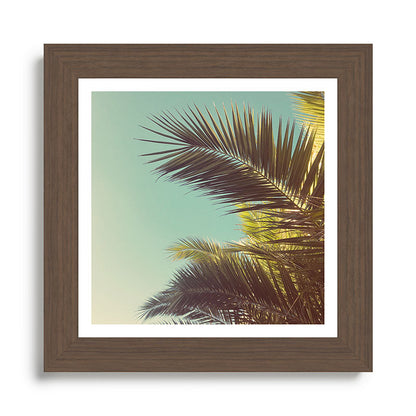 Autumn Palms Framed Art Print Gallery Image 57